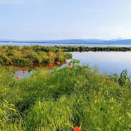 Bella Vista Apartman
