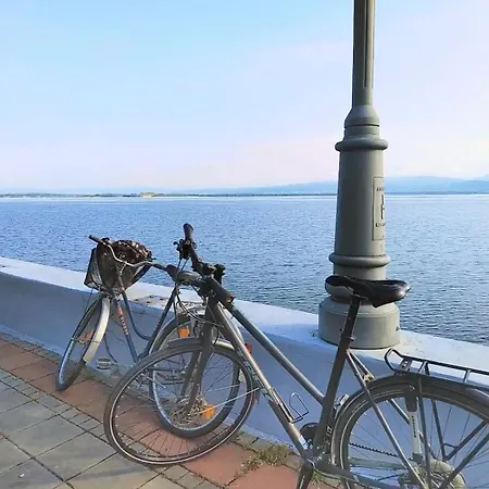 Bella Vista Golubăţ