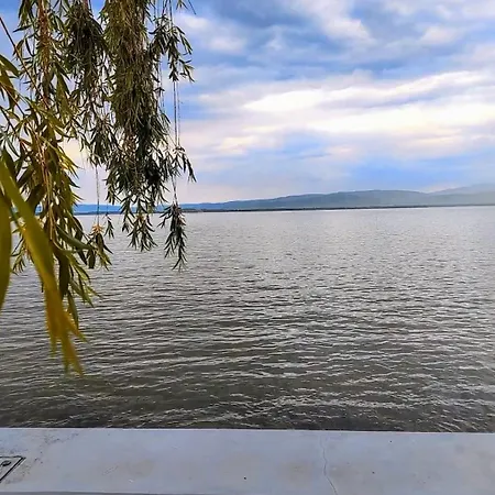 Bella Vista * Golubăţ