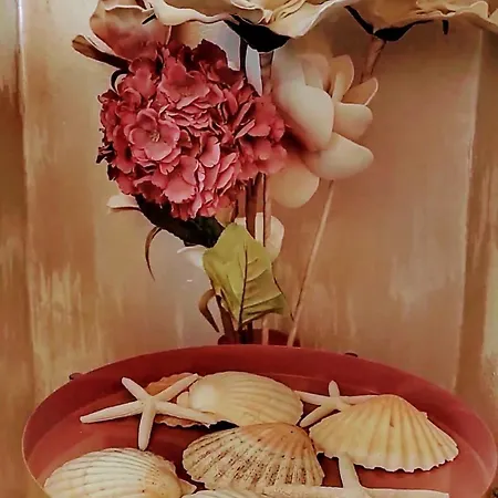 Bella Vista Apartman